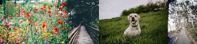 Courses